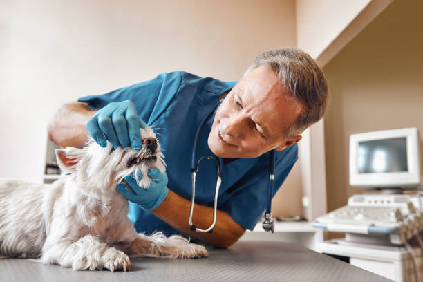 Best Dentist Open on Weekends  in Mount Gilead, OH