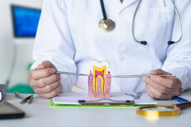 Best Knocked-Out Tooth Emergency  in Mount Gilead, OH